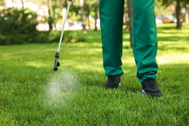 Reliable Shelbyville, IN Pest Control Solutions