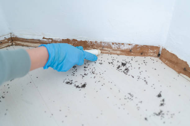 Best Affordable Pest Control Services  in Shelbyville, IN