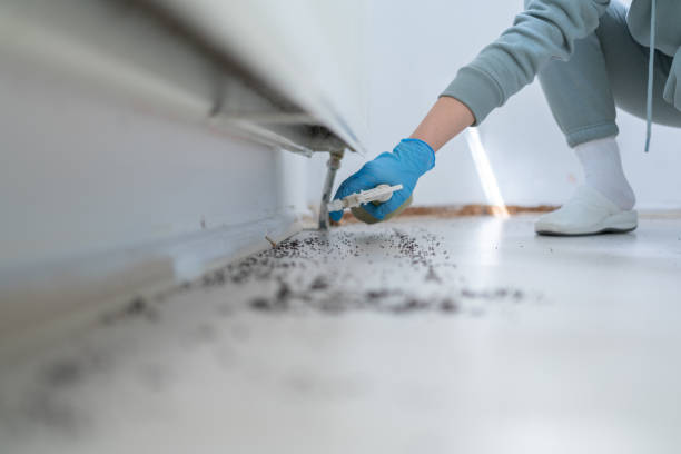 Best Termite Control Services  in Shelbyville, IN